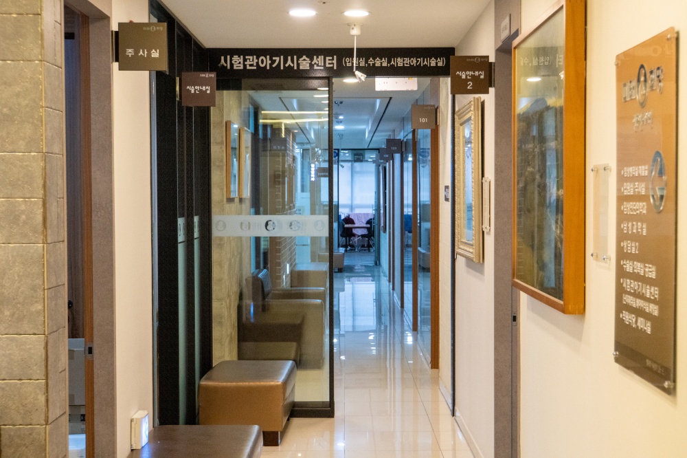 시험관 임신 직후 주의사항 7가지 – 착상 초기 안전한 관리 가이드