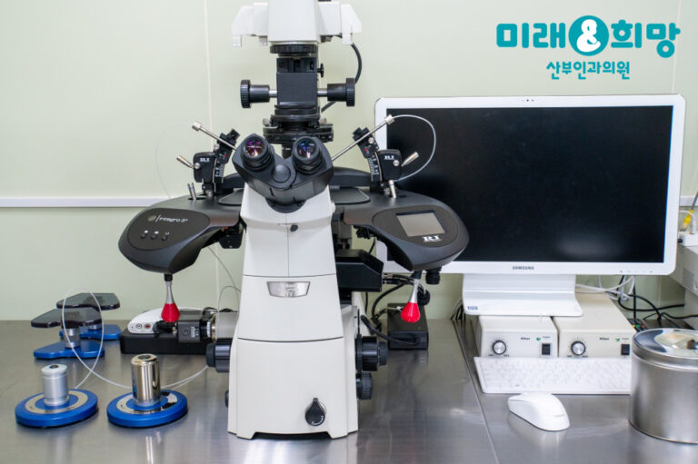 시험관아기시술과 DHEA