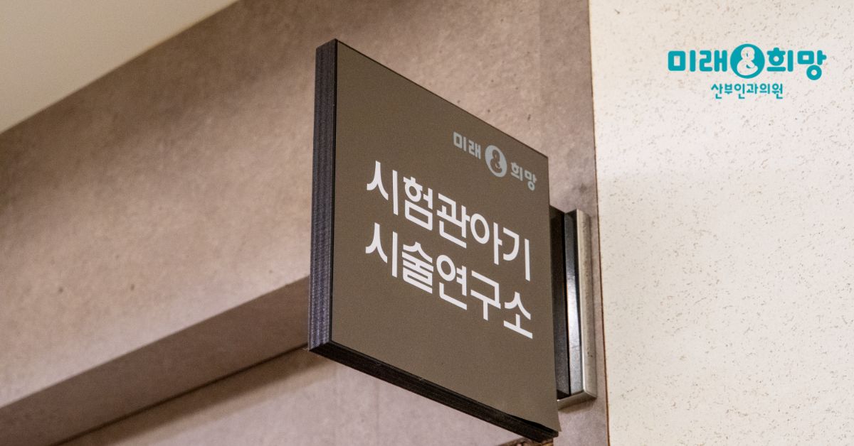 5일 배양 배아 이식 후 hCG 수치, 어떻게 읽어야 할까요?