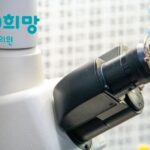 냉동배아 이식과 임신중독증