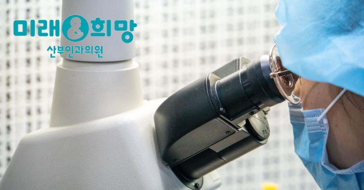 냉동배아 이식과 임신중독증, 이식 방법에 따라 위험이 달라질 수 있습니다